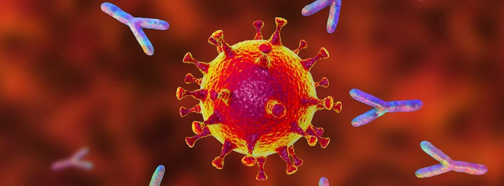 Anticuerpos monoclonales y sistemas de un solo uso en bioprocesamiento