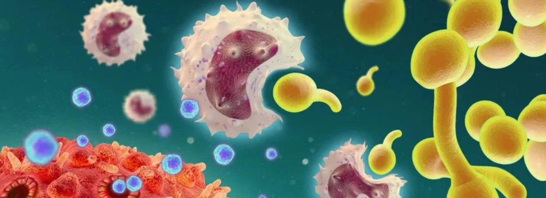 Cellular Immunotherapies: A New Horizon in Disease Treatment