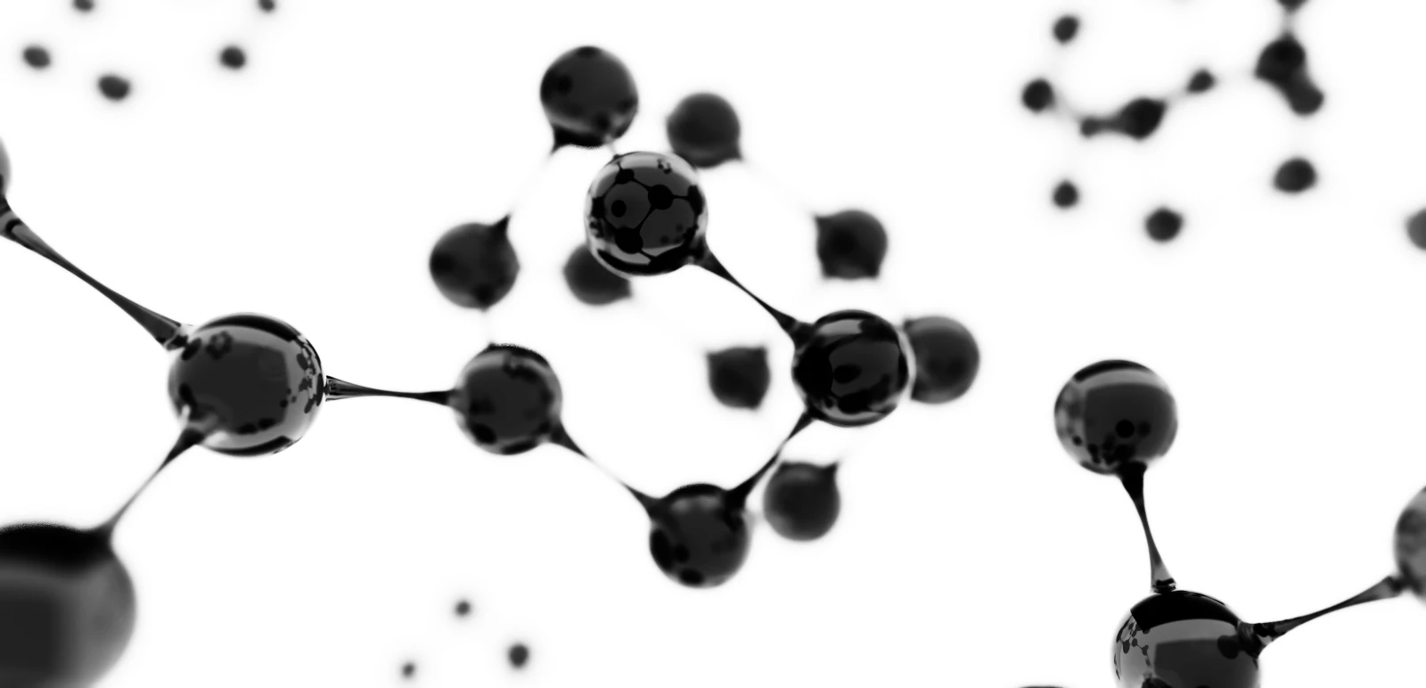 phtalates
