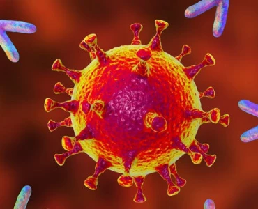 Monoclonal Antibodies and Single-Use Systems in Bioprocessing