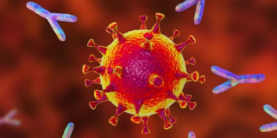 Anticorpi monoclonali e sistemi monouso nel bioprocesso