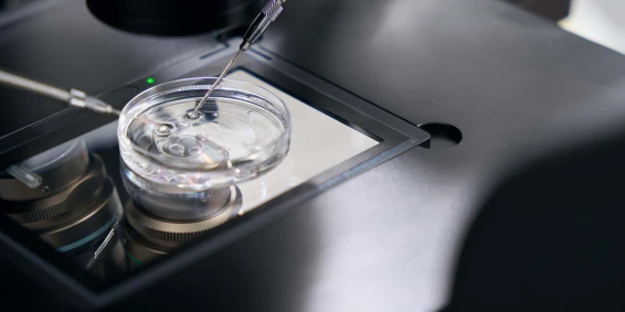 Revolution in der Biopharmazie: Kontinuierliche Herstellung