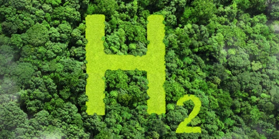 Hydrogen Reserves Unearthed - A Potential Source for Centuries to Come