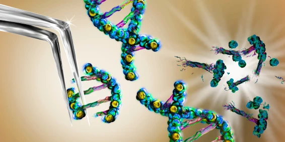 The Advancement of Regenerative Medicine: Innovation and Collaboration in Biotechnology