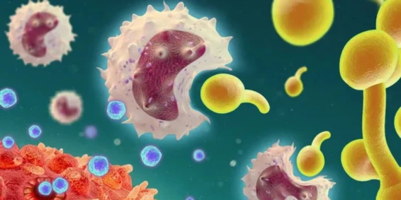 Immunoterapie Cellulari: Un Nuovo Orizzonte nel Trattamento delle Malattie