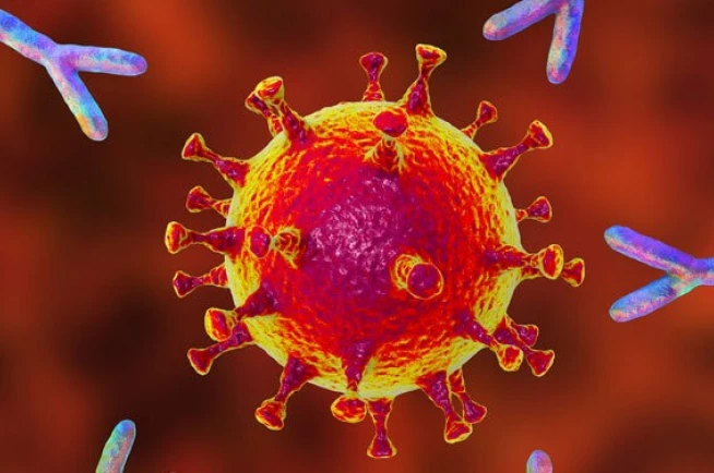 Monoclonal Antibodies and Single-Use Systems in Bioprocessing