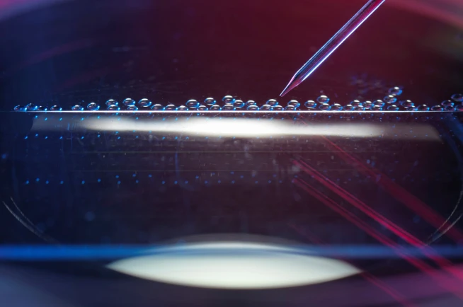 Cell & Gene Therapies and Biotech Manufacturing Equipment