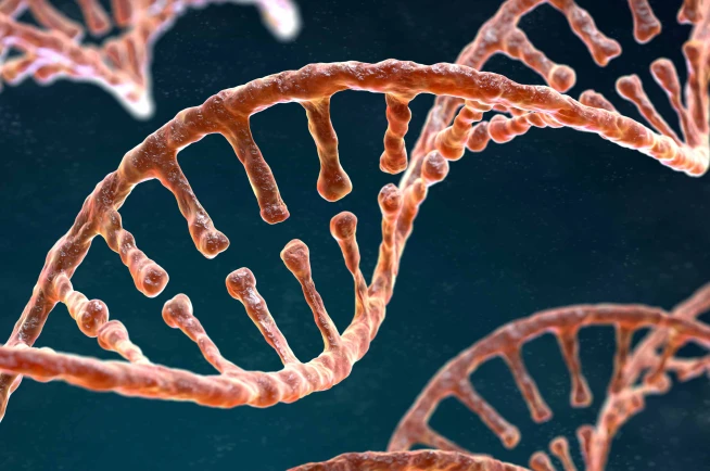 mRNA: A Game-Changer in Medicine and Biotechnology